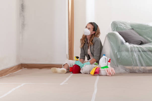 Reliable Black Mold Removal contractor in Port Tobacco, MD by WQB Mold Removal